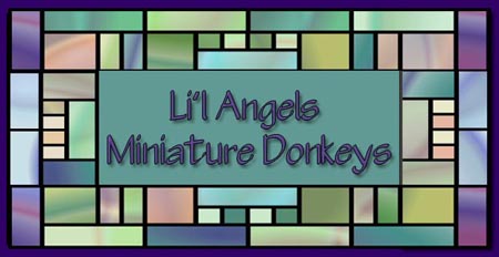 Li'l Angels Miniature Donkeys