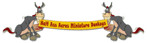 Miniature Donkey Half Ass Acres Banner (18,326 bytes)