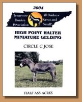 2004 Tennessee Donkey ASSociation High Point Halter Gelding!