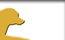 SuperDog Sports Center ~ Your Dog's Performance Playground