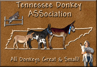 Welcome all donkeys great and small to the Tennessee Donkey ASSociation!!