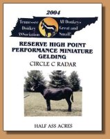 2004 Tennessee Donkey ASSociation Reserve High Point Performance Gelding