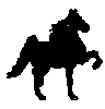 American 
Saddlebred Horse
