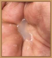 Cloudy milk!